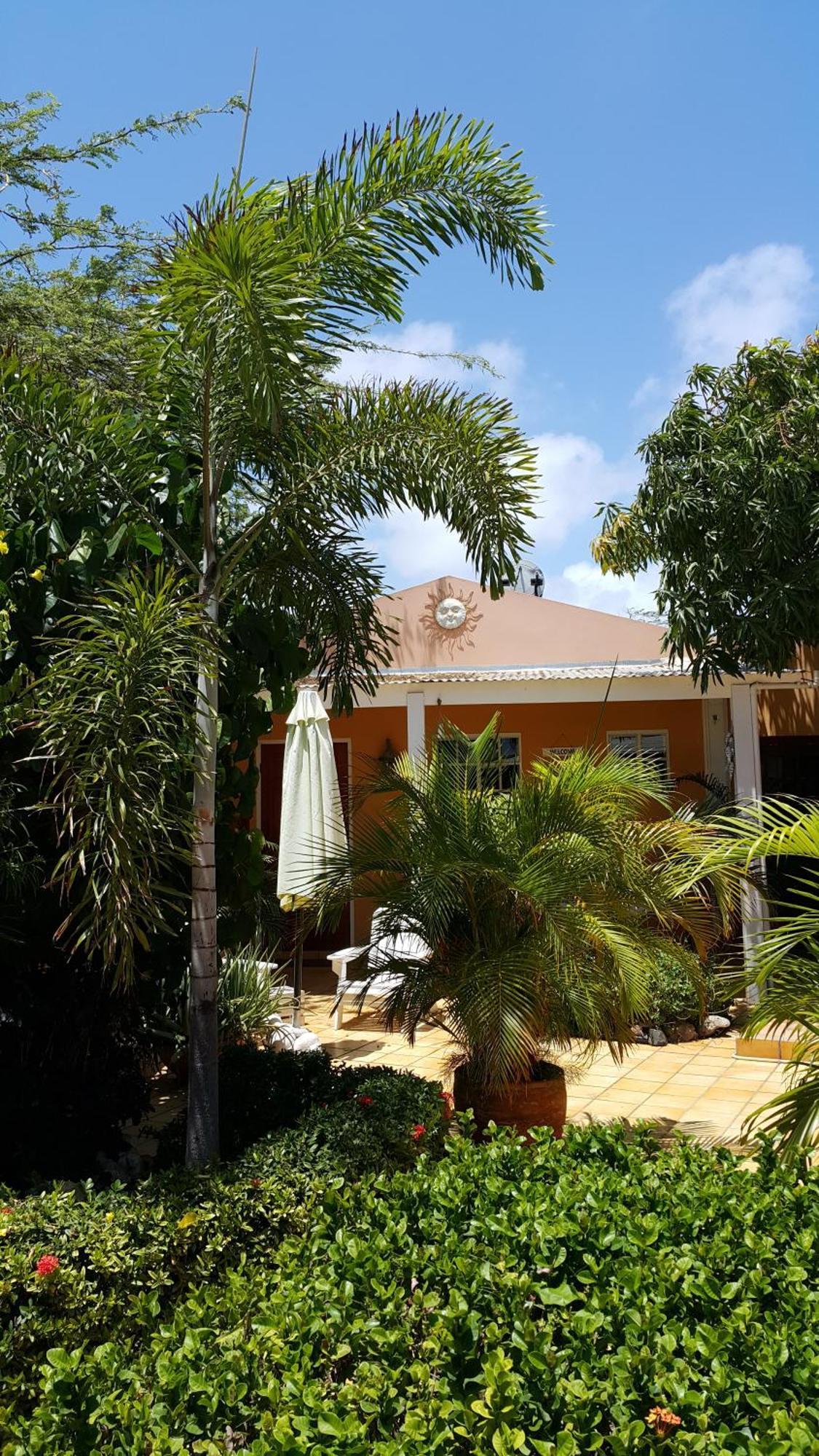 Brisas Studio Apartments (Adults Only) شاطئ بالم الغرفة الصورة